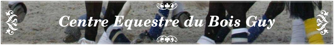 Centre Equestre du Bois Guy